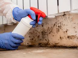 Why You Should Choose Our Mold Remediation Services in Ellisville, MO